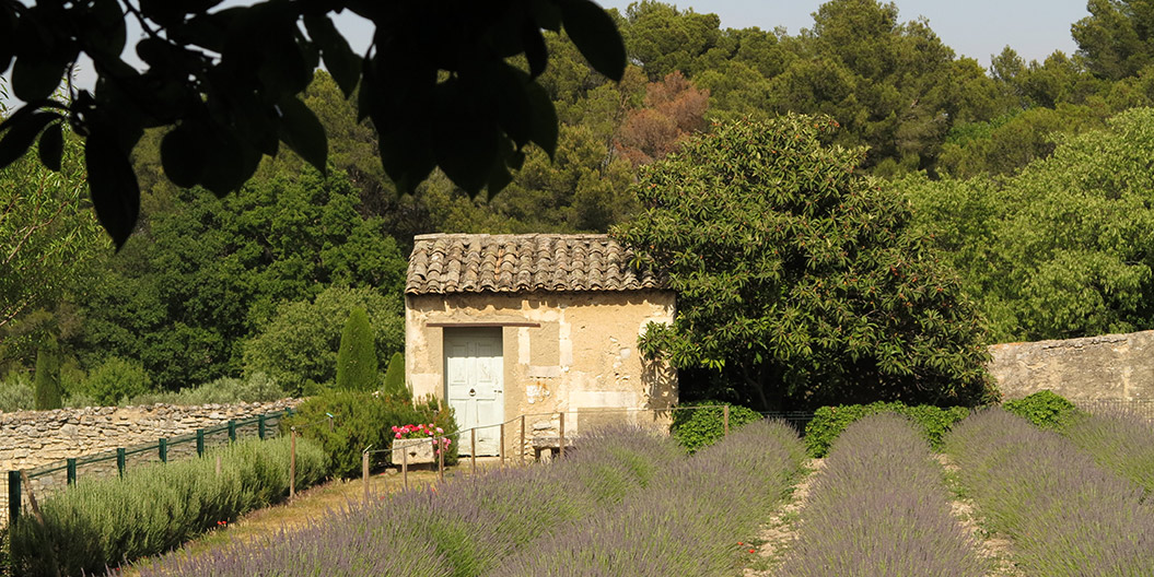 famous hiking trails - Provence Vincent van Gogh - Sherpa Expeditions
