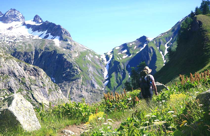 Tour du Mont Blanc