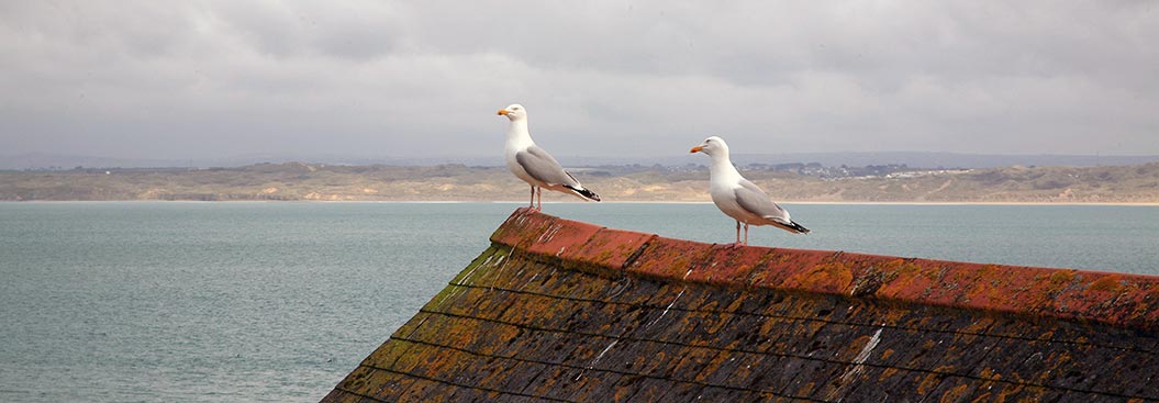 active holidays in Cornwall with Sherpa Expeditions