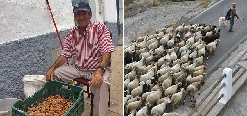 walking in andalucia_Sherpa Expeditions_people of Alpujarra Mountains