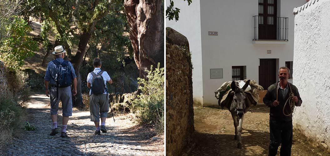 Hiking near Seville, Sierra de Aracena, Spain