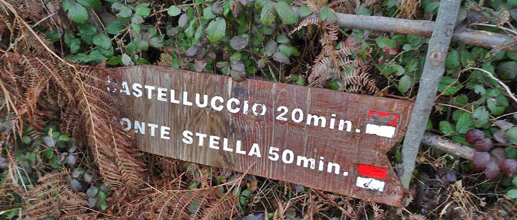 trailblaze in Italy - Sherpa Expeditions