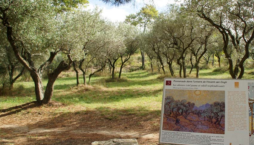 Loving Vincent Provence walking holidays