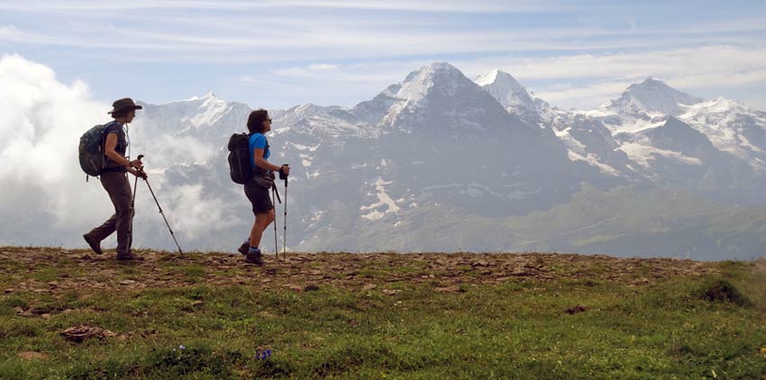 Walking Poles are great equipment to bring on a trekking holiday to Switzerland