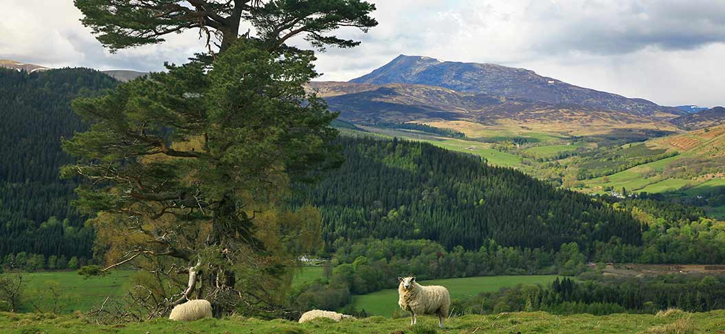 long distance walks uk Rob Roy Way