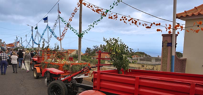 Madeira walking holidays and apple cider festival - Sherpa Expeditions