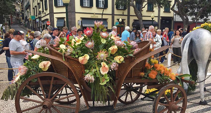 visit Madeira's flower festival - Sherpa Expeditions