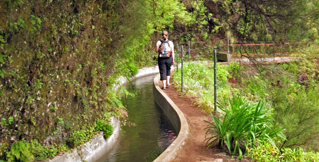 follow levadas in Madeira with Sherpa Expeditions