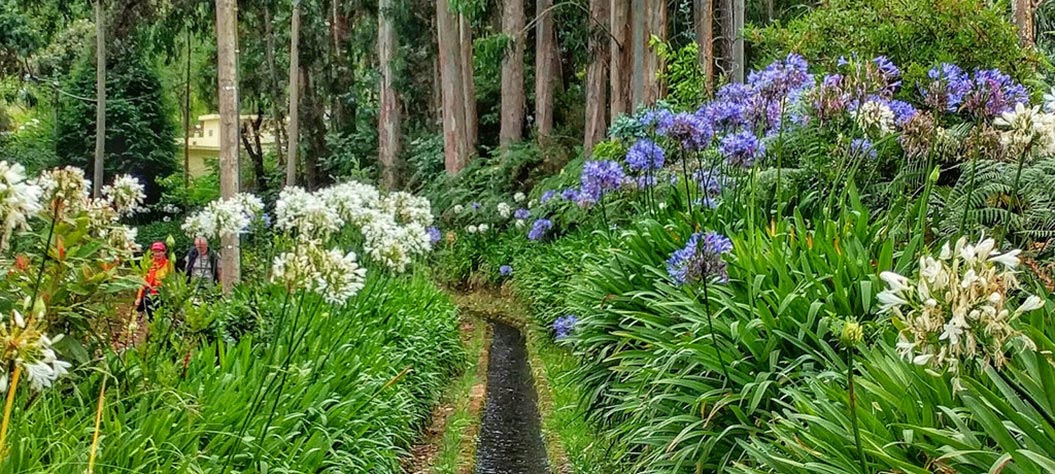 Walking in Madeira - (c)Mark Skarratts