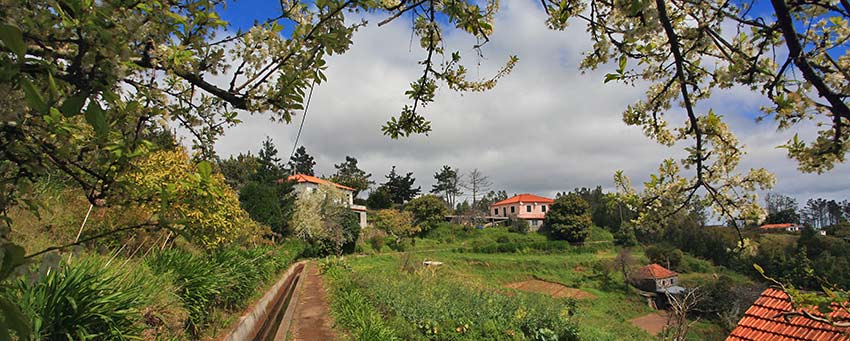 Madeira walks with Sherpa Expeditions
