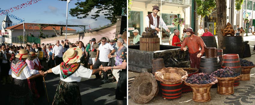 visit Madeira in September for the wine festival - Sherpa Expeditions