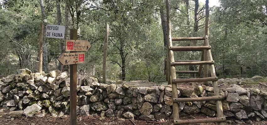 forest walks in Majorca with Sherpa Expeditions