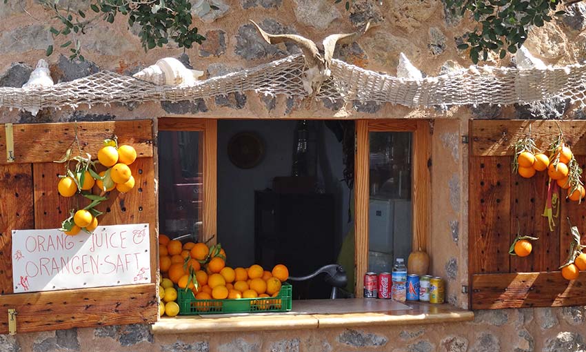 Oranges in Majorca - Sherpa Expeditions walking holidays