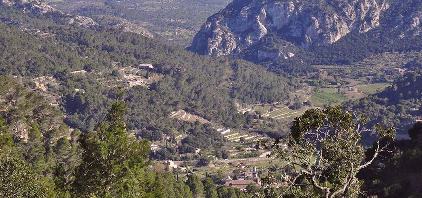 vineyards in Majorca - Sherpa Expeditions walking holidays