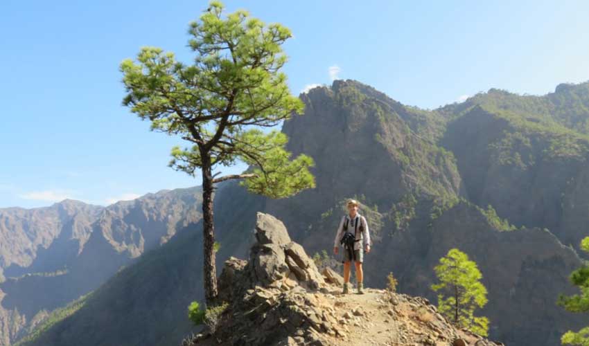 La Palma - near the Caldera