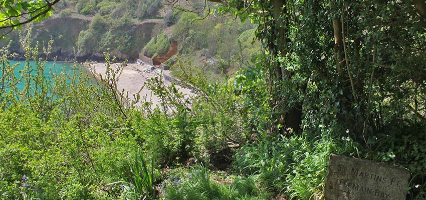 heading to the beach on Channel Island Way_Sherpa Expeditions
