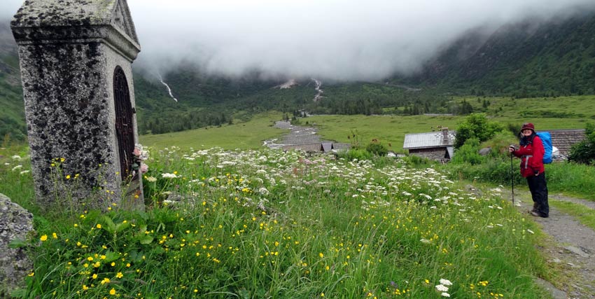 Walking-around-flowers-in-meadows-on-Mont-Blanc_Sherpa-Expeditions