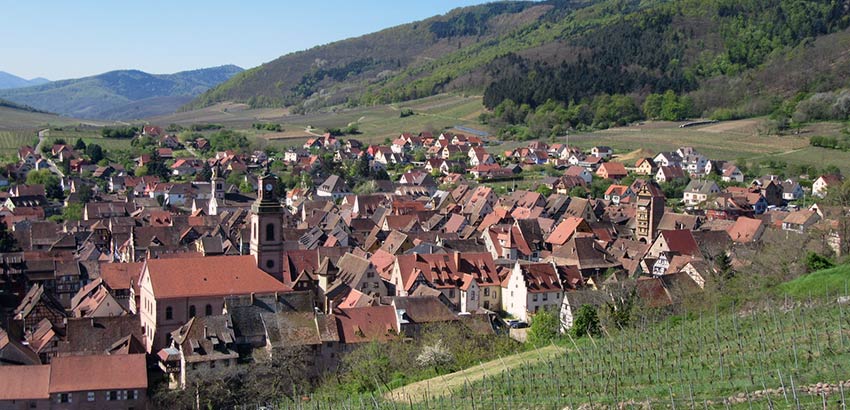 Views over Riquewihr in the Alsace - Sherpa Expeditions