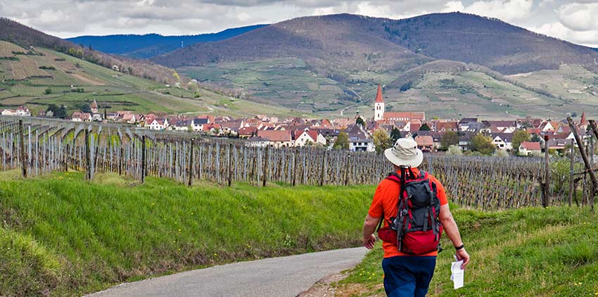 hiking in Alsace with Sherpa Expeditions