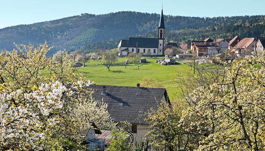hiking in Alsace_Sherpa Expeditions