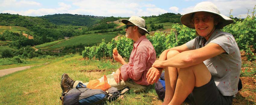 Vineyard Trails of Burgundy