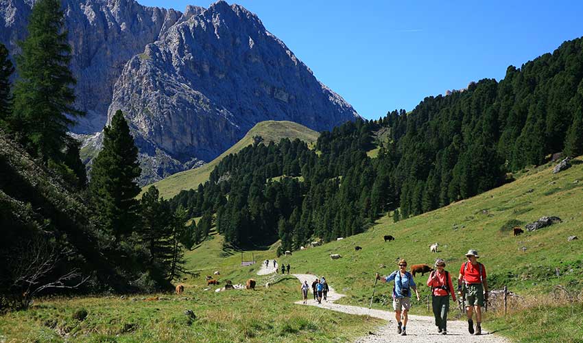 Walking in the Dolomites