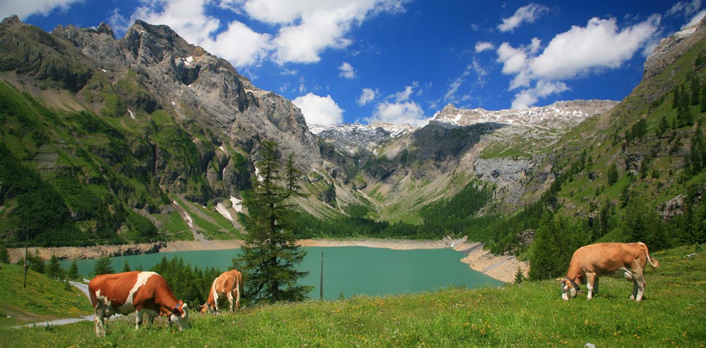 Wildstrubel Circuit Walking Holidays Switzerland