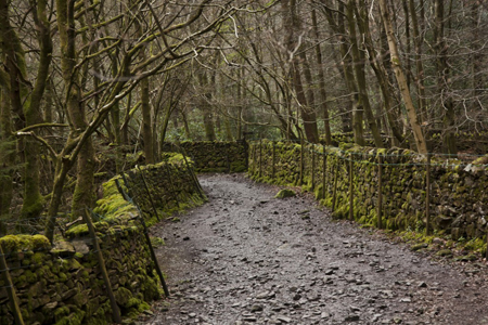 Coast-to-Coast-Walk-IMG_1536