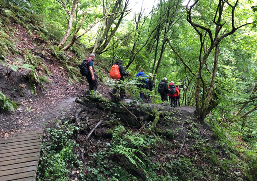 Guided Coast to Coast Walk - woodland path