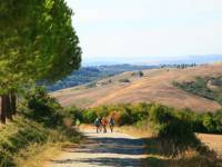 On the path to Pignano |  <i>John Millen</i>